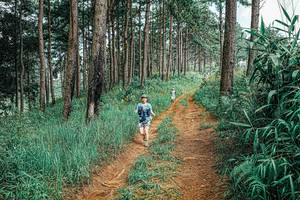 BIB: 
                            <button type="button" onclick="openModal(25689540)" class="btn btn-primary btn-sm float-right btn-popup" data-toggle="modal" data-target=".modal-high-quality">
                        <i class="fas fa-shopping-cart"></i> Add to Cart
                    </button>
                                            <button type="button" onclick="isThisMe(25689540, true)" class="btn btn-success btn-sm float-right btn-popup btn-isme hidden" data-toggle="tooltip" data-placement="bottom" title="นี่คือรูปของคุณใช่ไหม คลิกที่นี่เพื่อเอาเข้าอัลบั้ม">
                        <i class="fas fa-plus"></i> Add to album
                    </button>
                    <button type="button" onclick="isThisMe(25689540, false)" class="btn btn-warning btn-sm float-right btn-popup btn-isnotme hidden">
                        <i class="fas fa-ban"></i> Remove from album
                    </button>